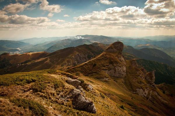 Золотой гребень