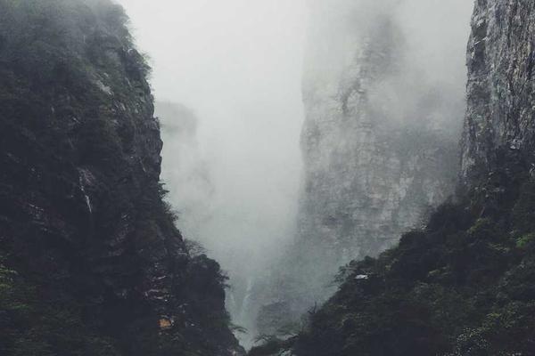 Превью: Туманное утро